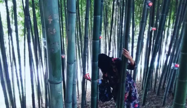 运动LOFT.png 运动LOFT.png