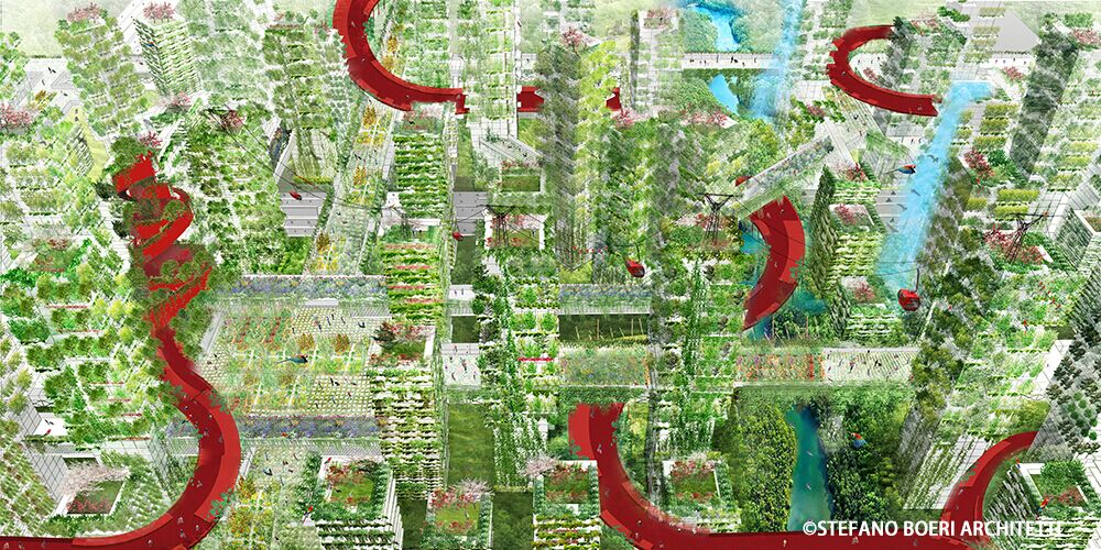 明日森林.jpg 明日森林.jpg