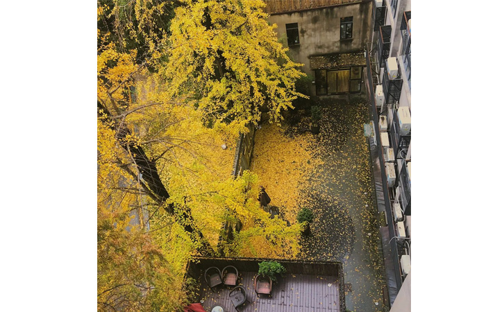 未标题-3.jpg 未标题-3.jpg