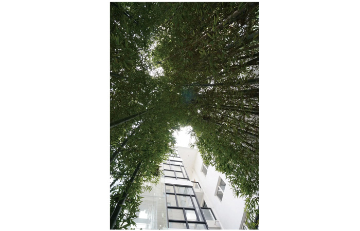 未标题-6.jpg 未标题-6.jpg